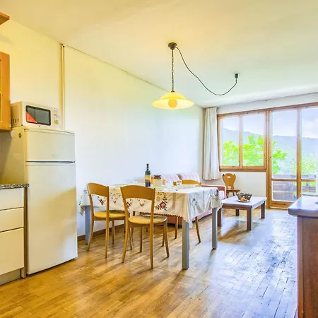 Bravone By Interhome Appartement